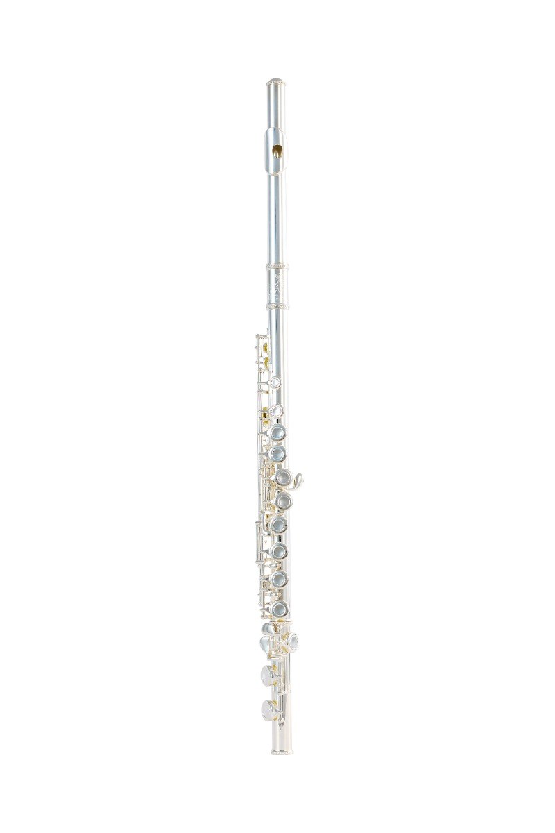 Flauta transversal Der Loewe DLFL-170 prateada