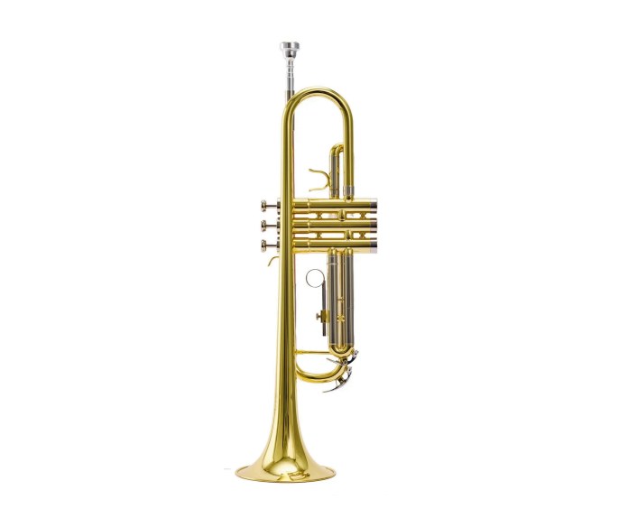 Trompete Der Loewe DLTR-130 dourado