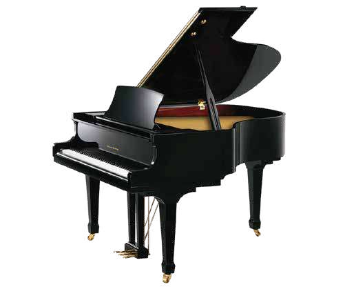 Piano de cauda digital Pearl River GP1100 preto polido
